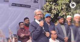 সঠিক সিদ্ধান্ত নিতে ব্যর্থ হলে আবার বিপদে পড়ব: মির্জা ফখরুল